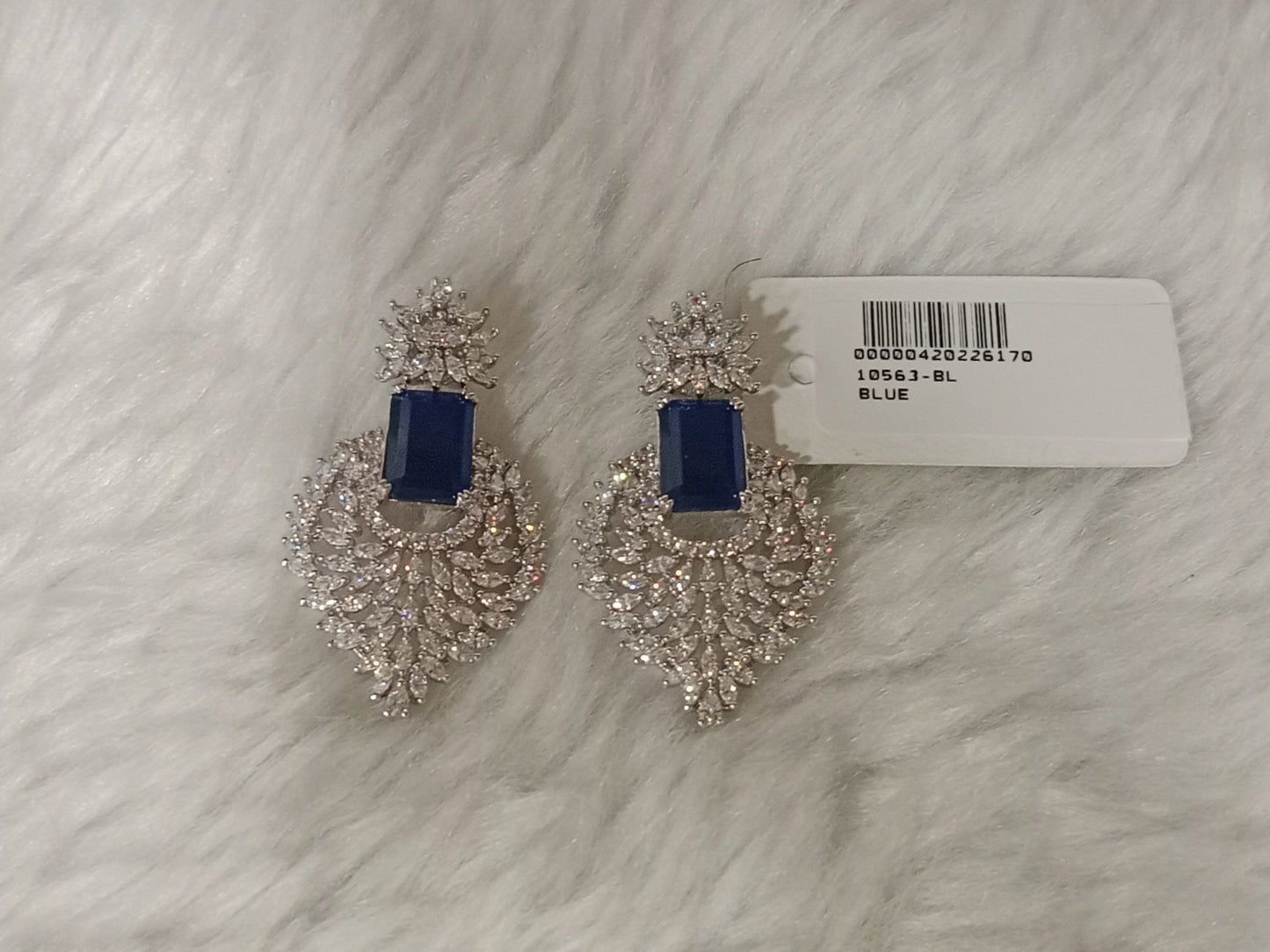 Blue AD Studded Earrings - Model